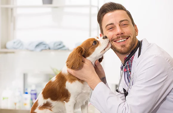 Vet with Dog