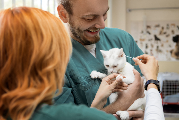 veterinary careers