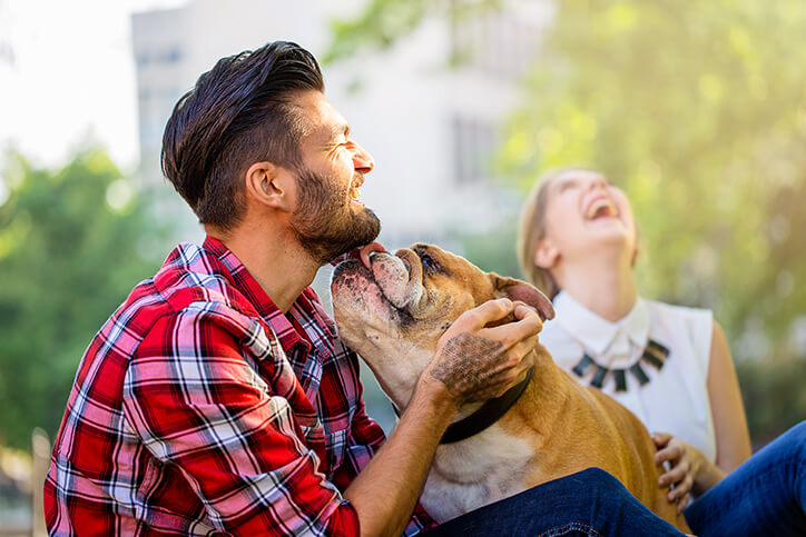 canine veterinary care